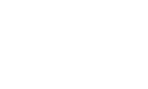 anaviz logo